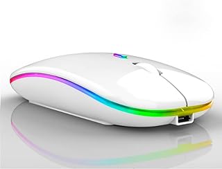 Mouse Sem Fio Recarregável Wireless Led Rgb Colorido Ergonômico Usb 2.4 Ghz TAMO (BRANCO)  