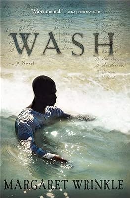 Wash: A Novel (English Edition)  