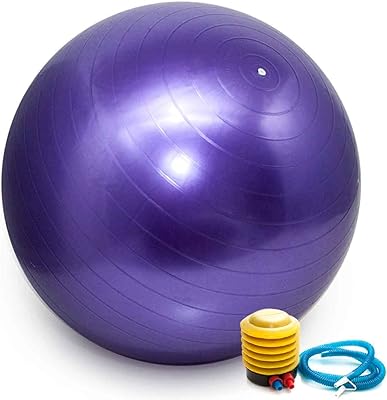 Bola Pilates Yoga Abdominal Ginastica Fitness 55 cm C/Bomba  