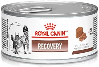 ROYAL CANIN Ração Lata Canine E Feline Recovery Wet 195G  