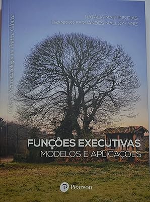 FUNÇÕES EXECUTIVAS - MODELOS E APLICAÇÕES  