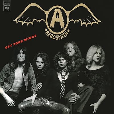 Get Your Wings [Disco de Vinil]  