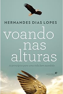 Voando nas alturas: 10 princípios para uma vida bem sucedida  