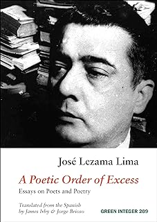 A Poetic Order of Excess: Essays on Poets and Poetry (English Edition)  