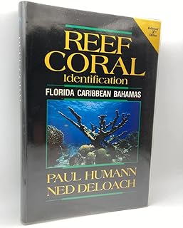 Reef Coral Identification: Florida-Caribbean-Bahamas  